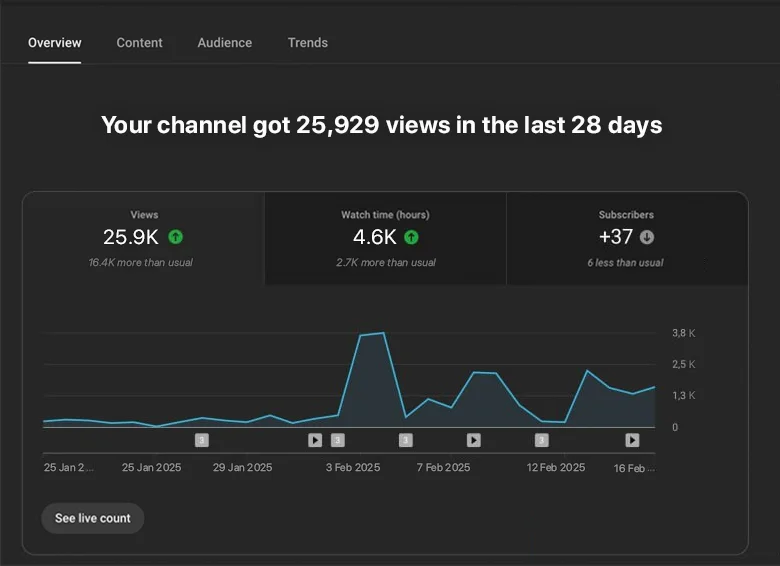 YouTube Statistics